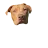 AsianFetishSan